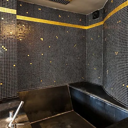 Private Penthouse - Champs Elysees باريس